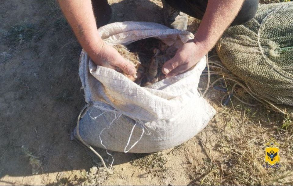 ����������� ��������� ������������� ���� �� ������� ��������� ����� � ���������� ����� ������������ ��������