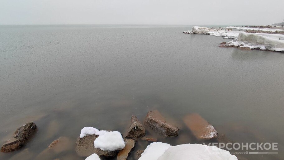 Сальдо: В Херсонской области планируют запустить морские порты