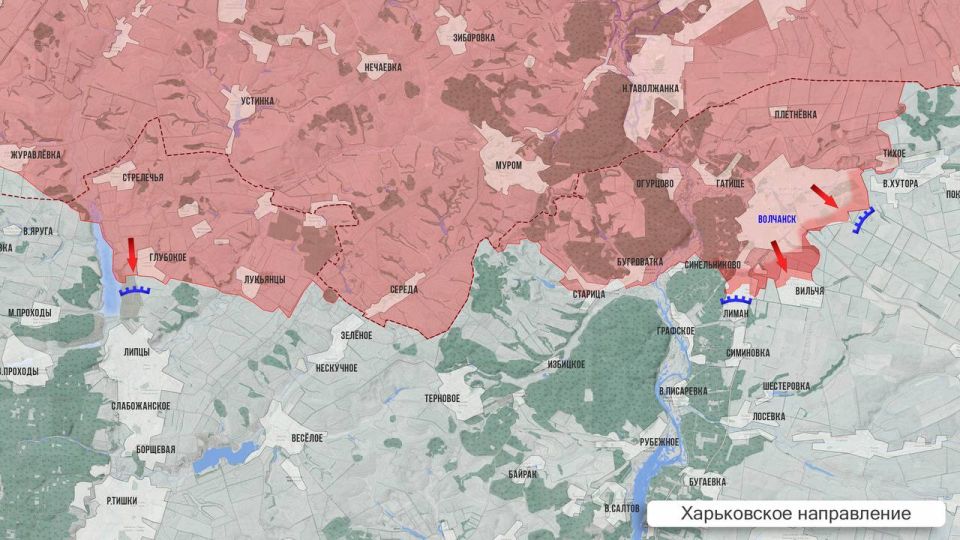 ���� ����: ��������� ������ 5 �������