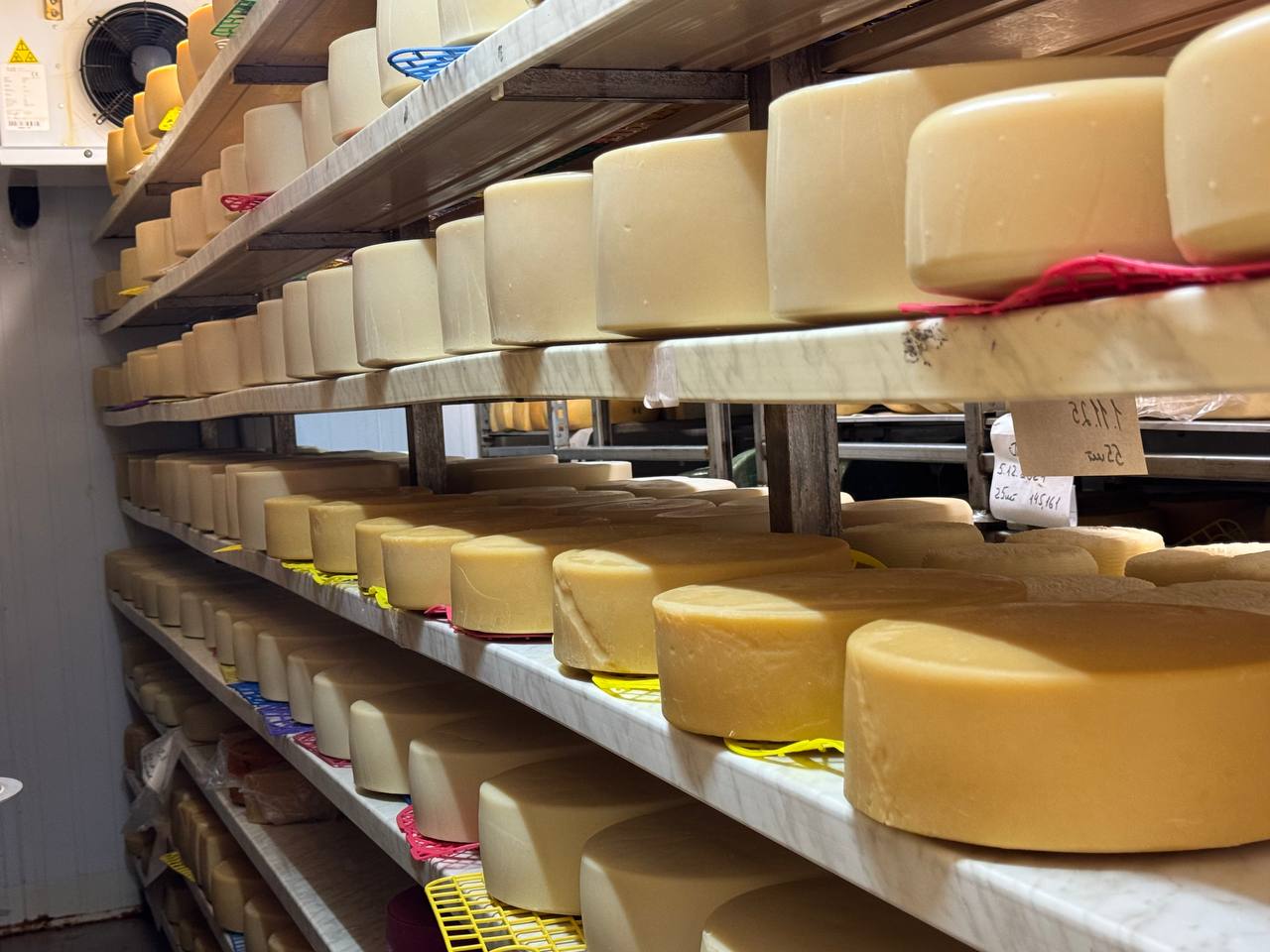 Руководитель Азово-Черноморского управления Россельхознадзора посетил животноводческое предприятие в селе Марьяновка Херсонской области Руководитель Азово-Черноморского управления Россельхознадзора посетил животноводческое предприятие в селе Марьяновка Херсонской области