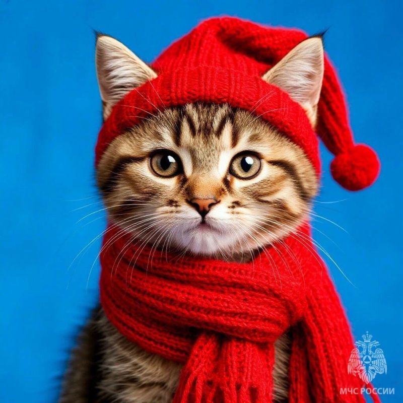 Ҹ���� ���� ��������!. ��� ������ ����������: