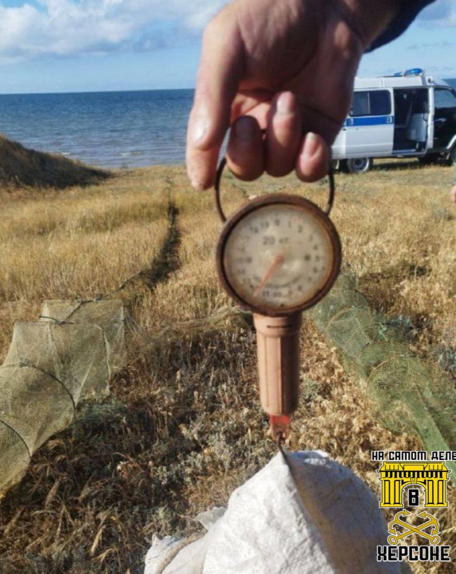 Дорогие морепродукты. Четверо «предпринимателей» из Каланчака решили обогатиться за счет черноморской креветки Дорогие морепродукты. Четверо «предпринимателей» из Каланчака решили обогатиться за счет черноморской креветки