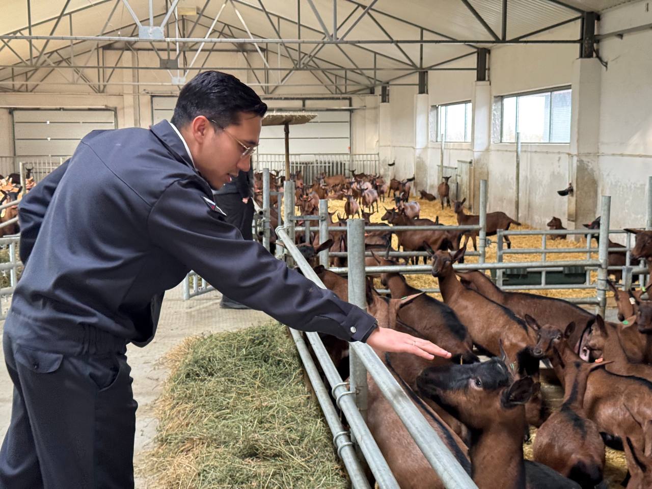 Руководитель Азово-Черноморского управления Россельхознадзора посетил животноводческое предприятие в селе Марьяновка Херсонской области Руководитель Азово-Черноморского управления Россельхознадзора посетил животноводческое предприятие в селе Марьяновка Херсонской области