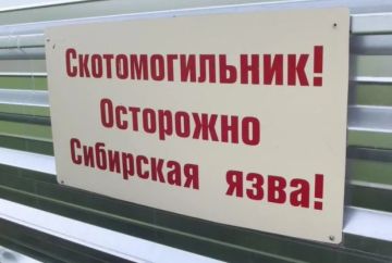 Сибирская язва на Херсонщине: киевский режим годами не вакцинировал скот и сознательно играл с огнём