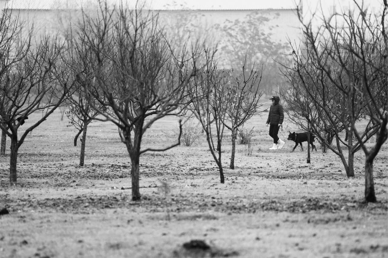 Херсон в декабре.. Доброе утро, Херсонщина! Херсон в декабре.. Доброе утро, Херсонщина!
