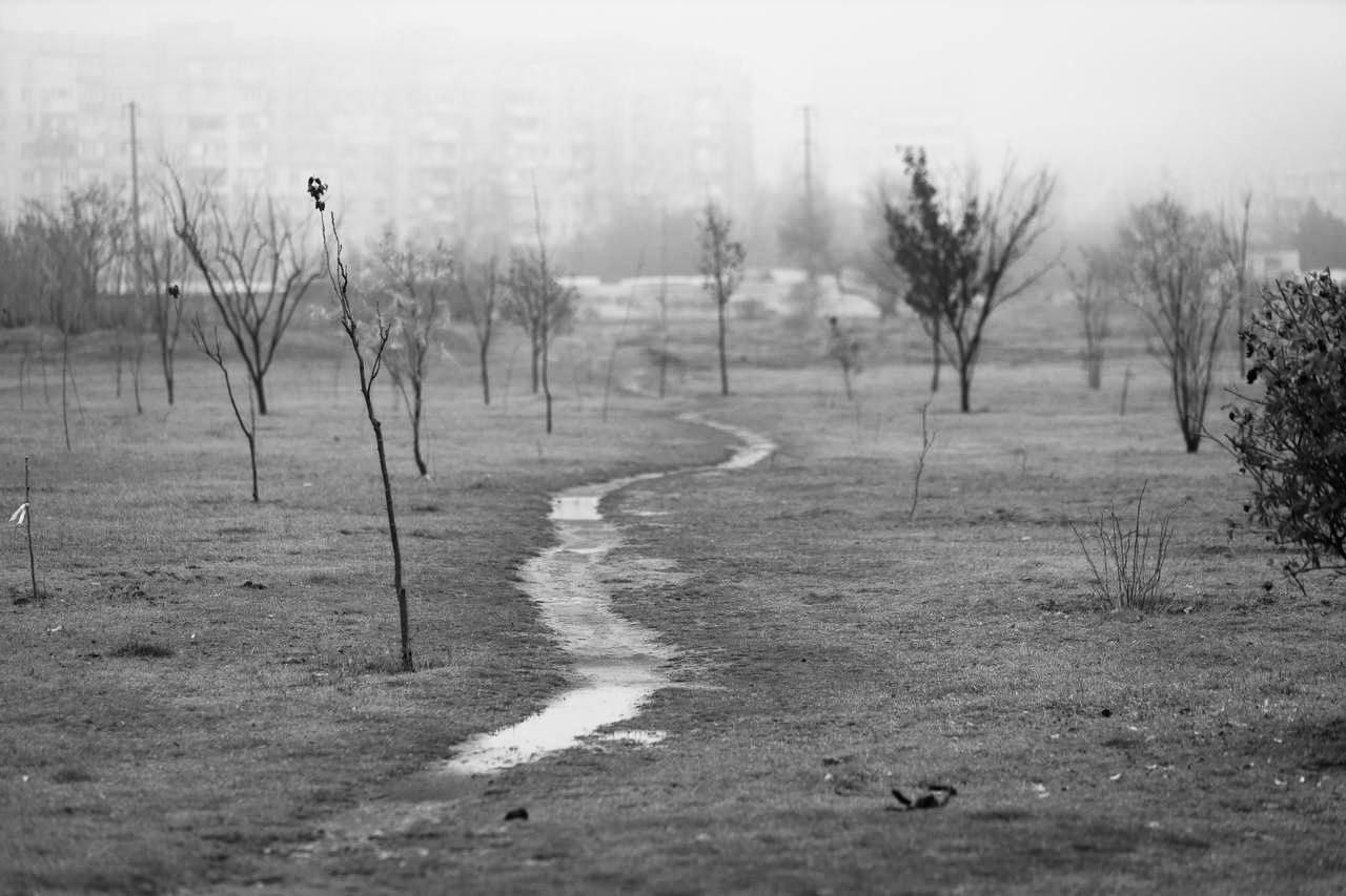 Херсон в декабре.. Доброе утро, Херсонщина! Херсон в декабре.. Доброе утро, Херсонщина!