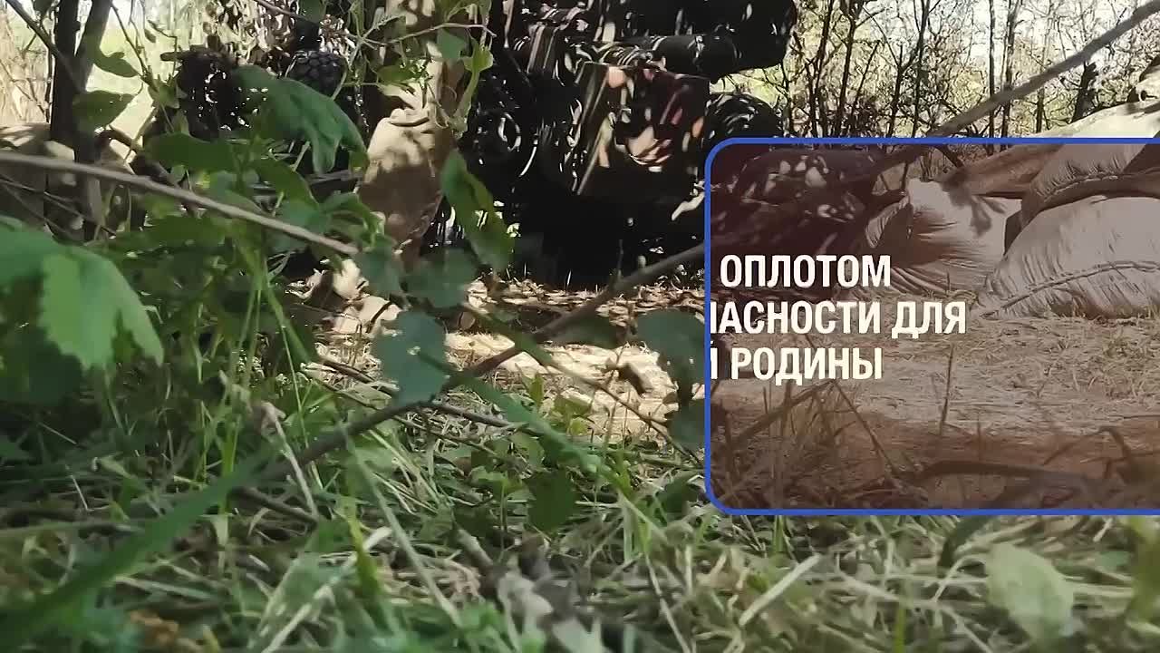 Стань тем, на кого равняется Родина