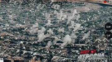 Енот из Херсона: Херсон, Приднепровское-Садовое