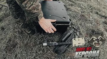 Енот из Херсона: Херсон