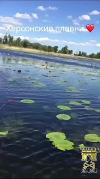 Если у вас за окном ветер и холодно — пусть на душе станет теплее