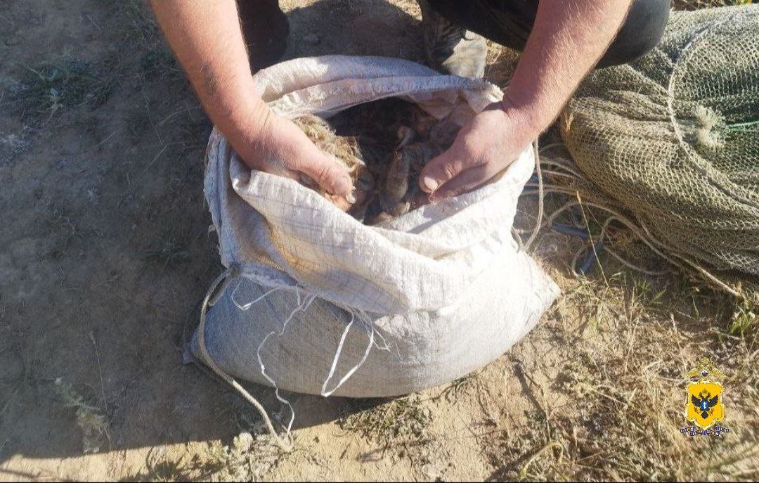 Четверо жителей региона обвиняются в браконьерском промысле черноморской креветки