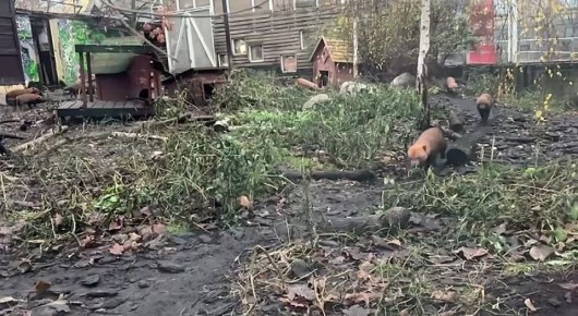 На старт, внимание, выходные! или В погоне за пятничным настроением