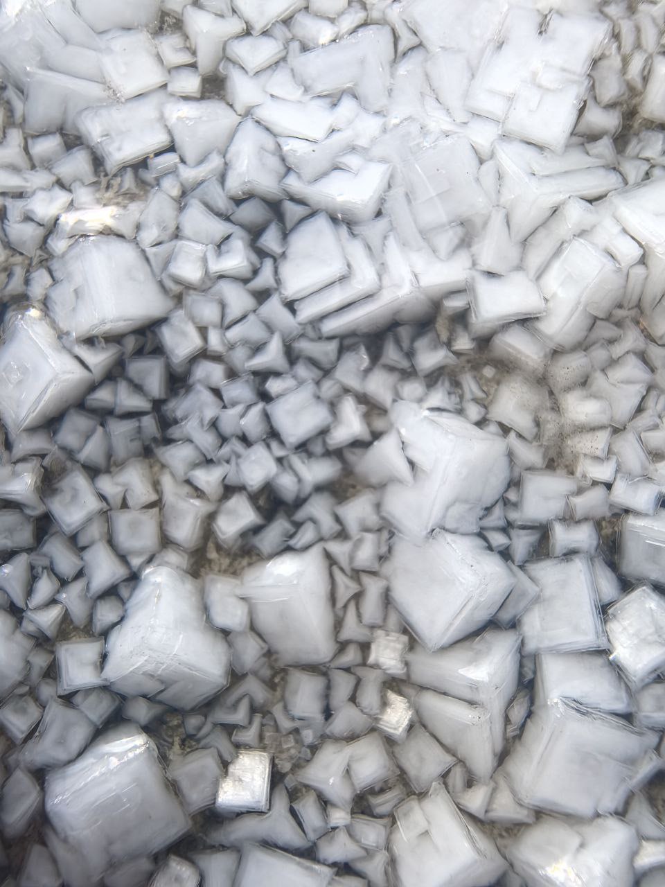 Вы когда-нибудь рассматривали розовое озеро так детально, как участница нашего фото-конкурса? Вы когда-нибудь рассматривали розовое озеро так детально, как участница нашего фото-конкурса?