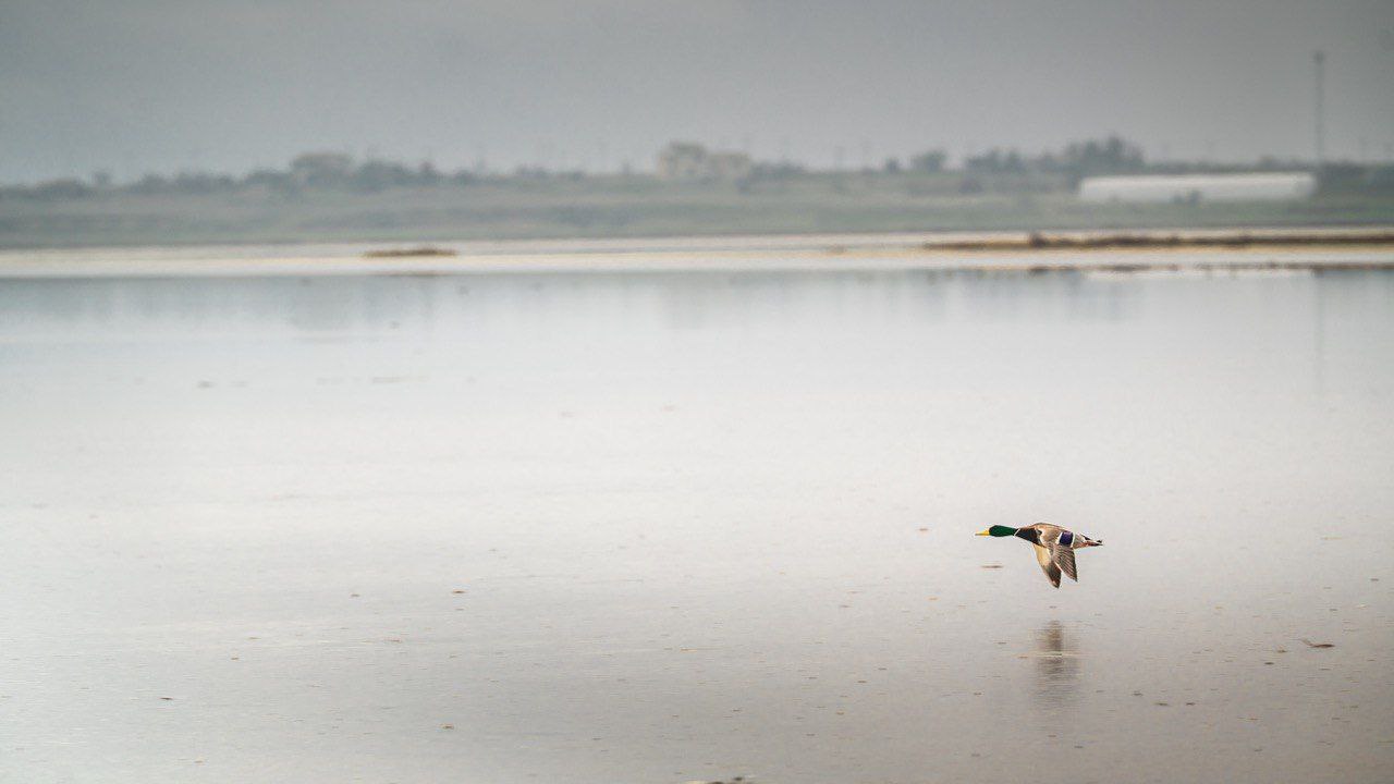 Херсонские просторы.. Доброе утро, Херсонщина! Херсонские просторы.. Доброе утро, Херсонщина!