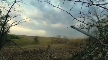 Для кого ты становишься сильным?