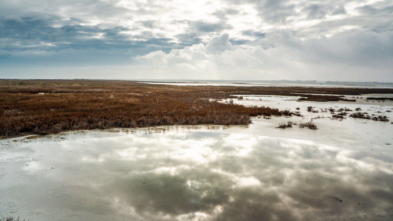 Херсонские просторы.. Доброе утро, Херсонщина! Херсонские просторы.. Доброе утро, Херсонщина!