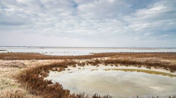 Херсонские просторы.. Доброе утро, Херсонщина!