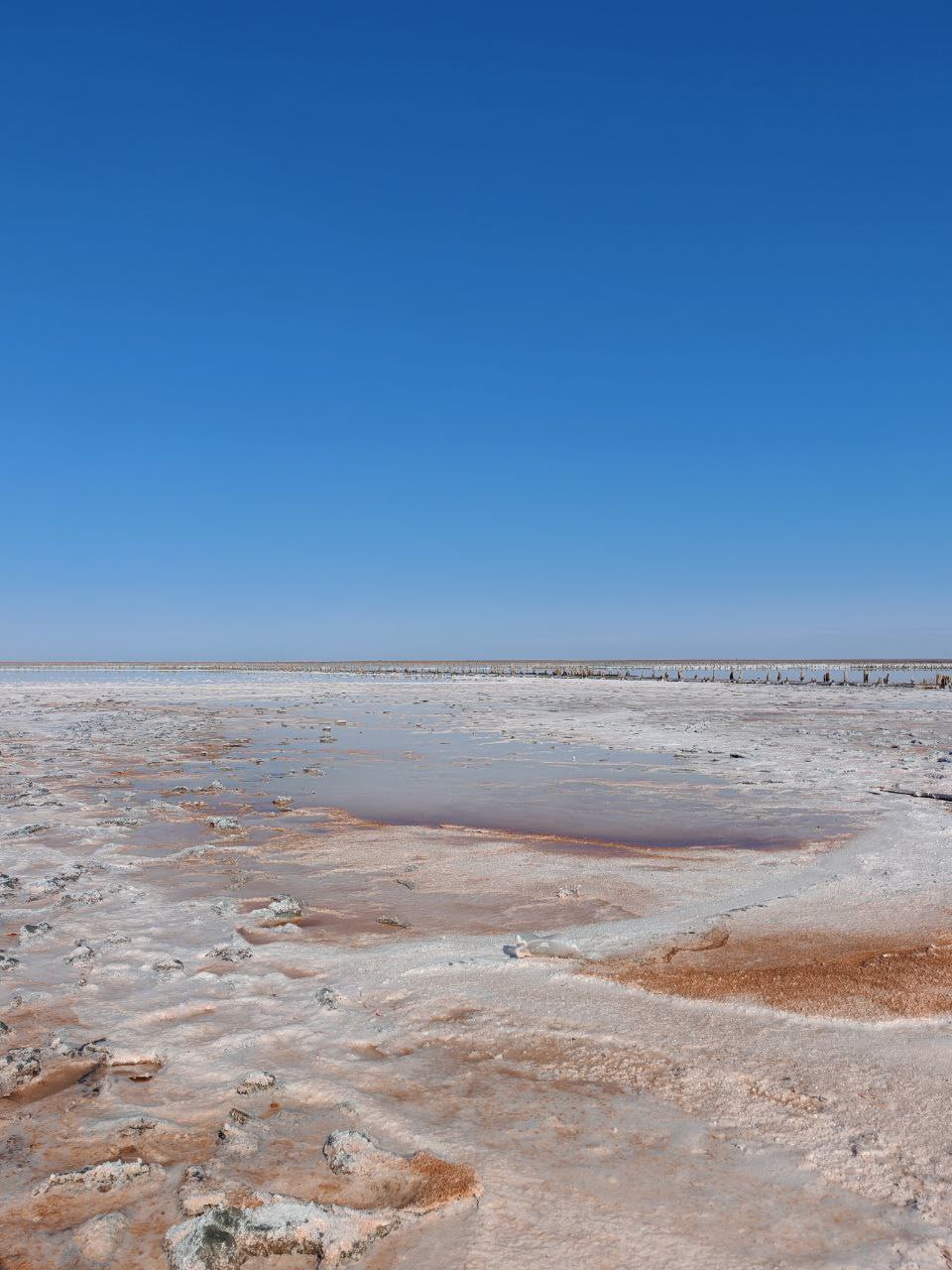 Вы когда-нибудь рассматривали розовое озеро так детально, как участница нашего фото-конкурса?