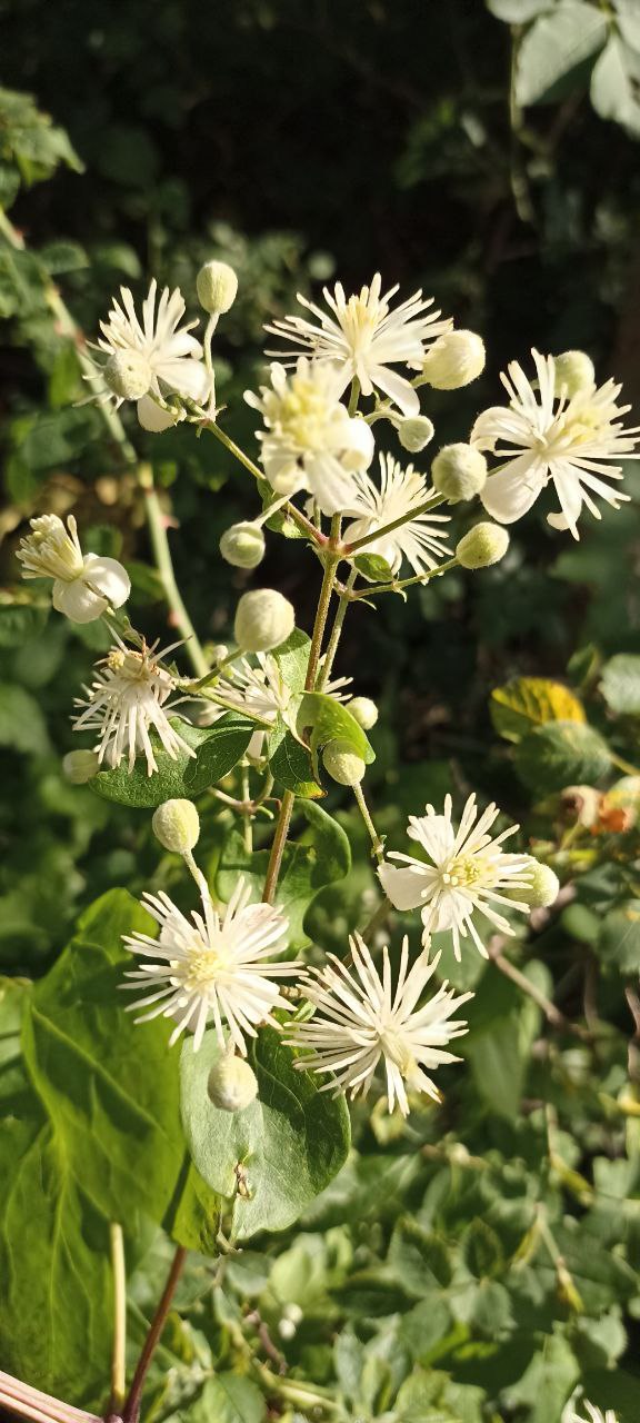 С добрым утром, Малокаховка!