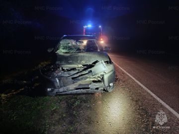 �� �������� ����� �������-������������ ������������� ��� ���������� ������� ����������� ��: