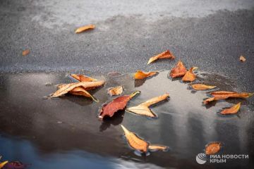 ������ �� ����� ����������� ������