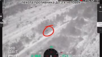 Енот из Херсона: Херсон. Разведка 18 ОА ГВ "Днепр" выявила движение живой силы противника в лесополосе