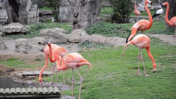 Интересный факт: это не Африка, а Херсонская область