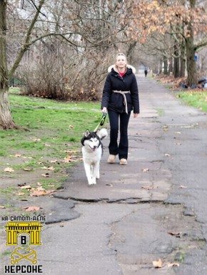 Херсон сегодня — под звуки фронта и генераторов