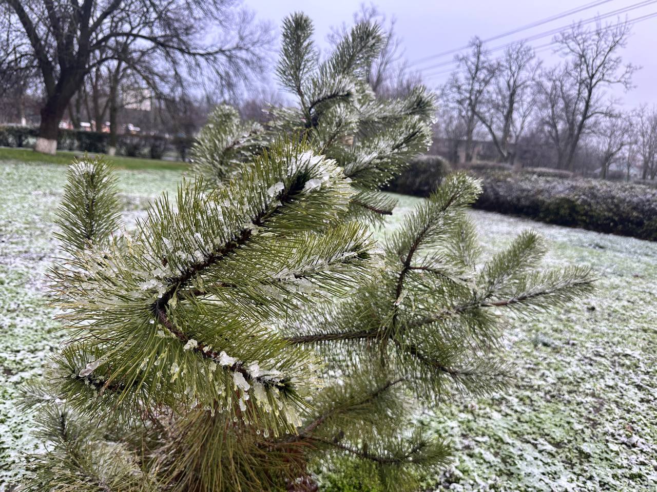 Первый снег в Ивановке!. Дорогие жители Ивановского муниципального округа! Поздравляем вас с первым декабрьским снегом! Пусть этот снежный покров станет началом красивой, по-настоящему зимней сказки в нашем округе