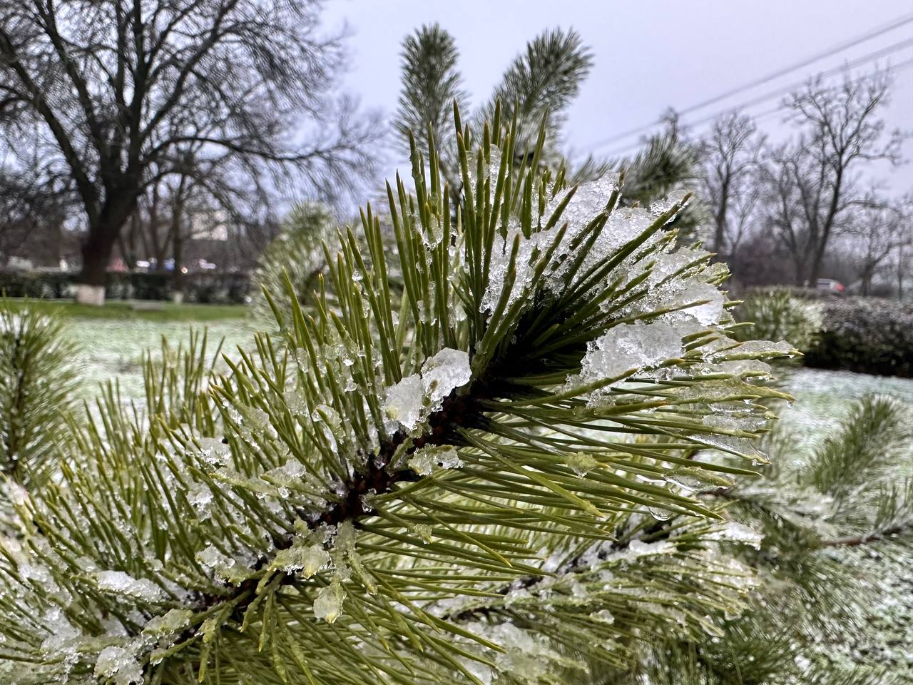Первый снег в Ивановке!. Дорогие жители Ивановского муниципального округа! Поздравляем вас с первым декабрьским снегом! Пусть этот снежный покров станет началом красивой, по-настоящему зимней сказки в нашем округе Первый снег в Ивановке!. Дорогие жители Ивановского муниципального округа! Поздравляем вас с первым декабрьским снегом! Пусть этот снежный покров станет началом красивой, по-настоящему зимней сказки в нашем округе