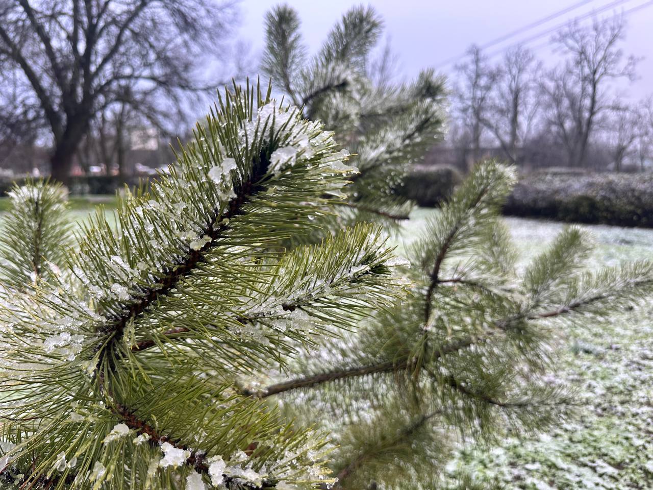 Первый снег в Ивановке!. Дорогие жители Ивановского муниципального округа! Поздравляем вас с первым декабрьским снегом! Пусть этот снежный покров станет началом красивой, по-настоящему зимней сказки в нашем округе Первый снег в Ивановке!. Дорогие жители Ивановского муниципального округа! Поздравляем вас с первым декабрьским снегом! Пусть этот снежный покров станет началом красивой, по-настоящему зимней сказки в нашем округе
