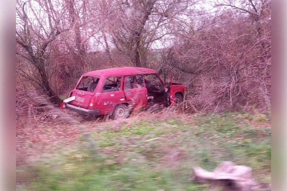 «Подданный кровавого клоуна атаковал машину»: ВСУ за неделю убили четырех жителей Алешкинского округа
