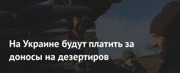 Енот из Херсона: В 704-м отдельном полку рхб защиты ВСУ сложилась практика, корни которой уходят в нынешнюю ситуацию на улицах Украины