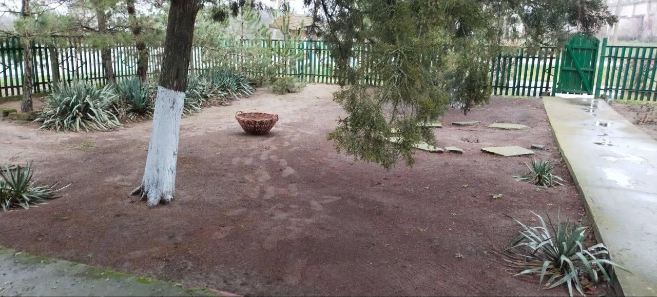 Завершена подготовка лесничеств Херсонской области к зиме Завершена подготовка лесничеств Херсонской области к зиме