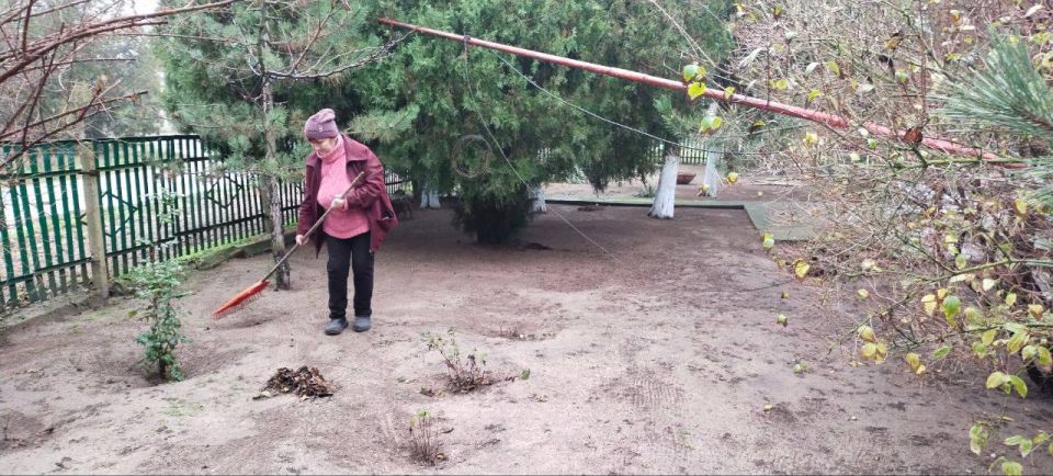 Завершена подготовка лесничеств Херсонской области к зиме Завершена подготовка лесничеств Херсонской области к зиме