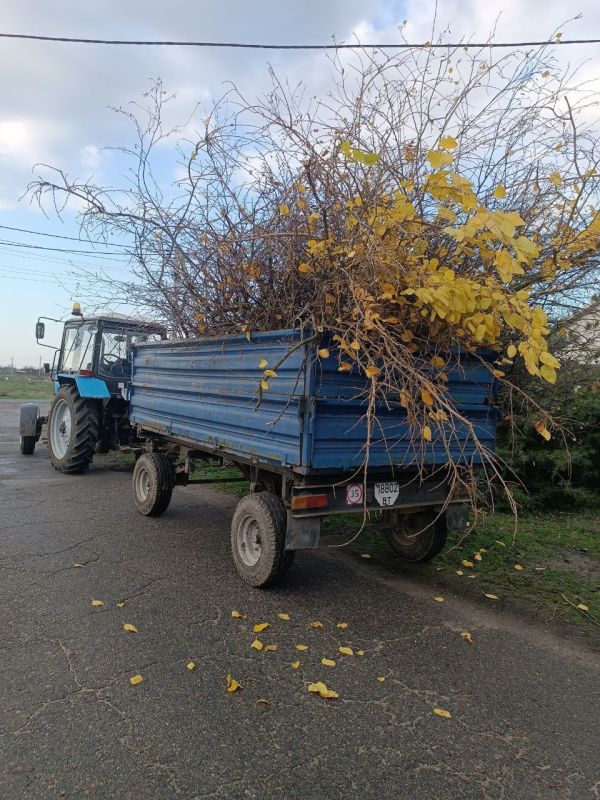 Отчет о проделанной работе КСК в с. Малокаховка за неделю Отчет о проделанной работе КСК в с. Малокаховка за неделю