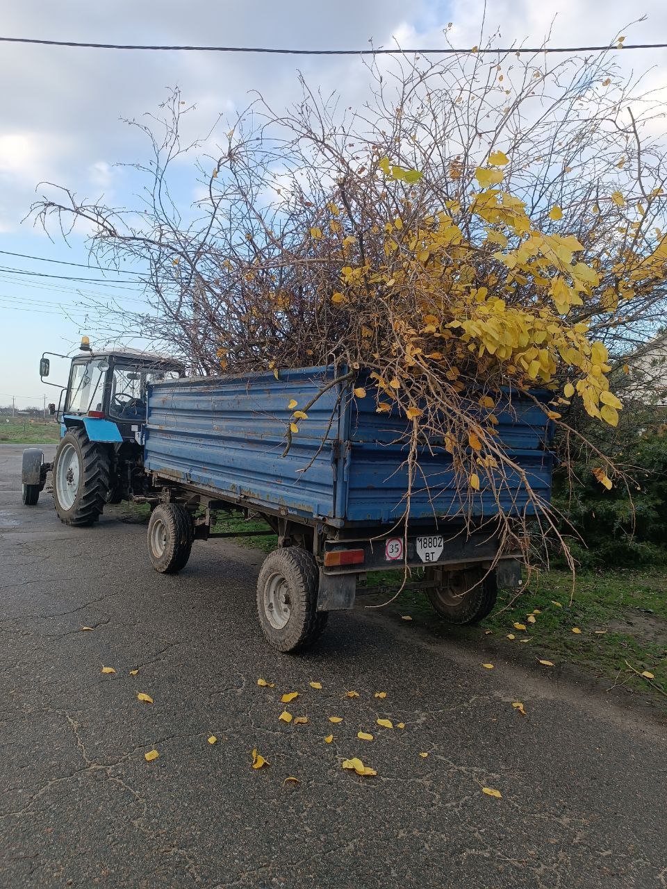 Отчет о проделанной работе КСК в с. Малокаховка за неделю Отчет о проделанной работе КСК в с. Малокаховка за неделю