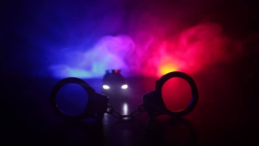 � ������ � 12 �� 14 ������� 2025 ���� �� ���������� ���������� ������� �������� ����������-���������������� ����������� ���������� ���������