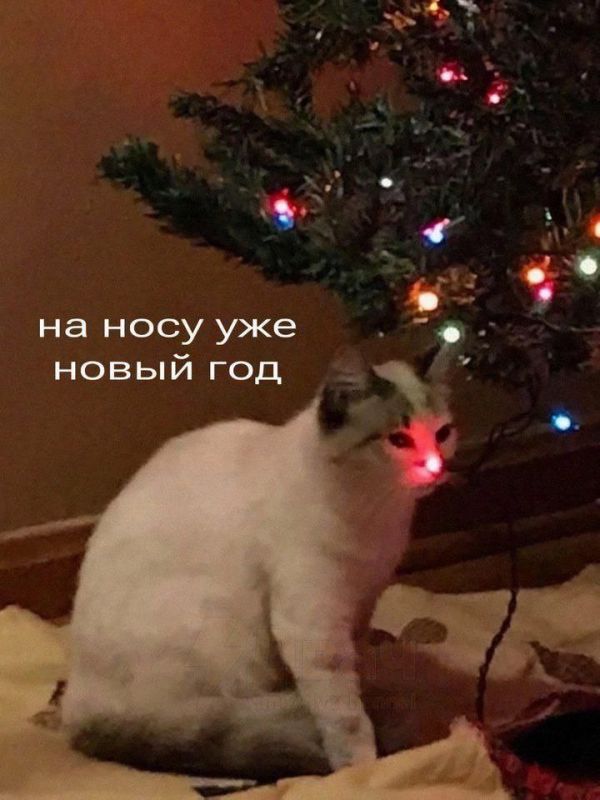 До Нового года... 19 дней