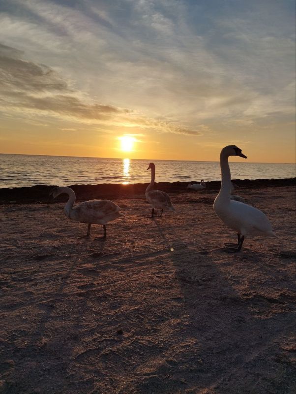 ��������: �������� 2 ���! ����� ������������� � ������������ "����� ����"