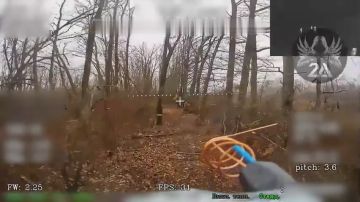 Енот из Херсона: Денацификация идёт полным ходом