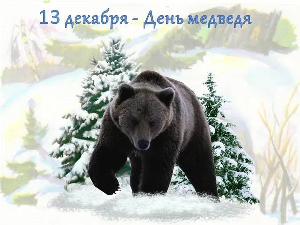 Доброе утро!. Сегодня в России отмечают День медведя — неофициальный, но очень важный праздник, призванный напомнить о сохранении популяции этих величественных животных