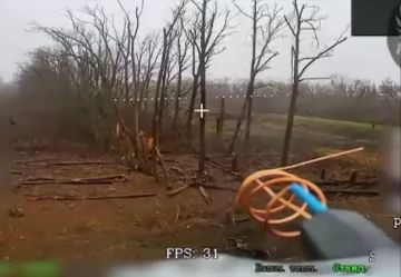 Выкинуть нацистское приветствие — последнее, что успел сделать ВСУшник перед прилётом по нему дрона ВС РФ