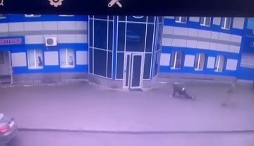 Настоящая драма развернулась с участием сотрудников тцк