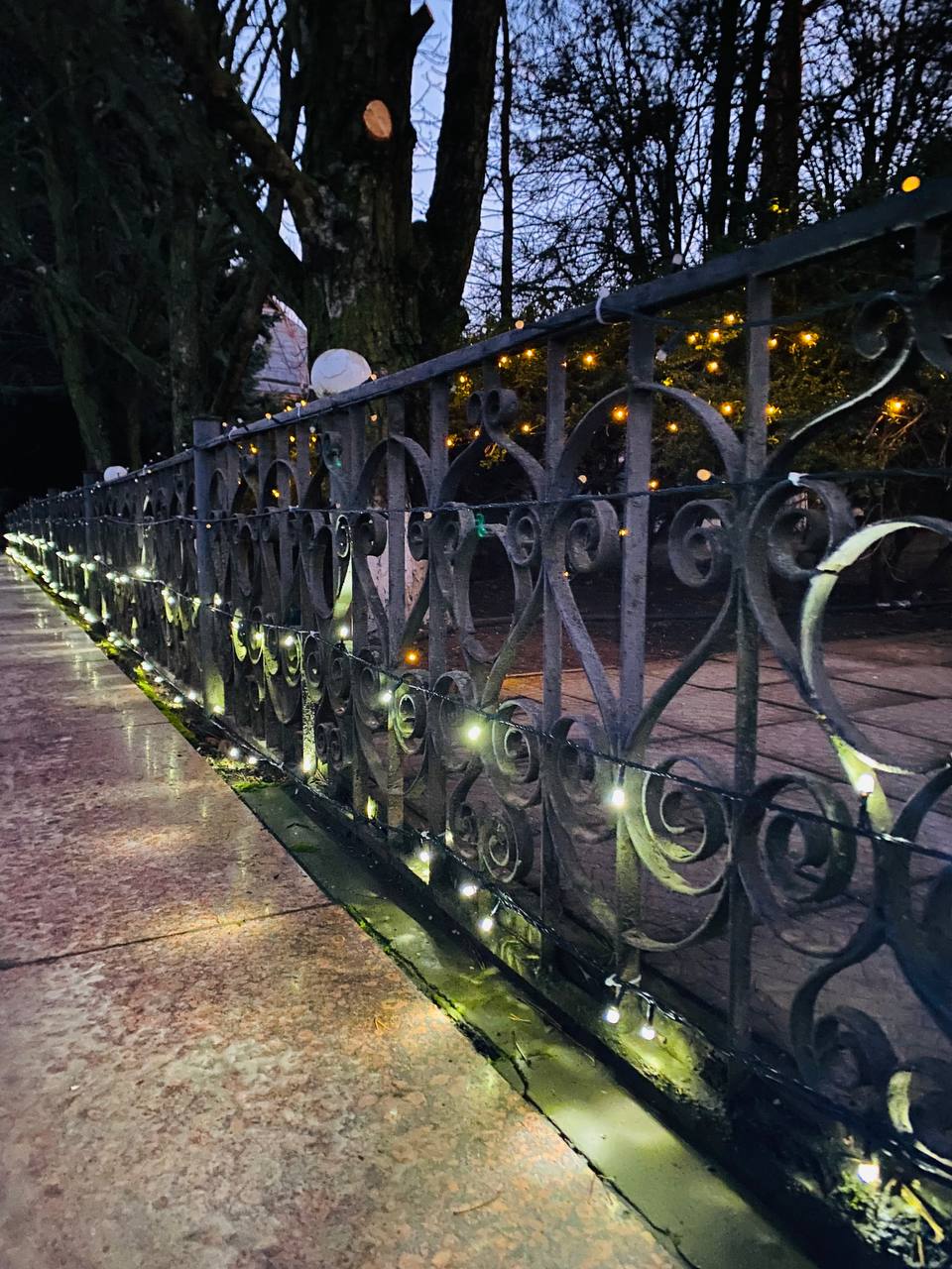 В Верхнерогачикском муниципальном округе установили праздничную елку В Верхнерогачикском муниципальном округе установили праздничную елку