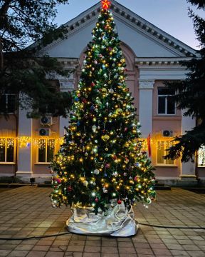 В Верхнерогачикском округе засветилась центральная новогодняя елка