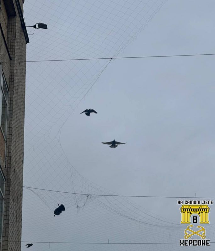 Зима в Херсоне. Сегодня на улицах — цветы, сети и генераторы Зима в Херсоне. Сегодня на улицах — цветы, сети и генераторы