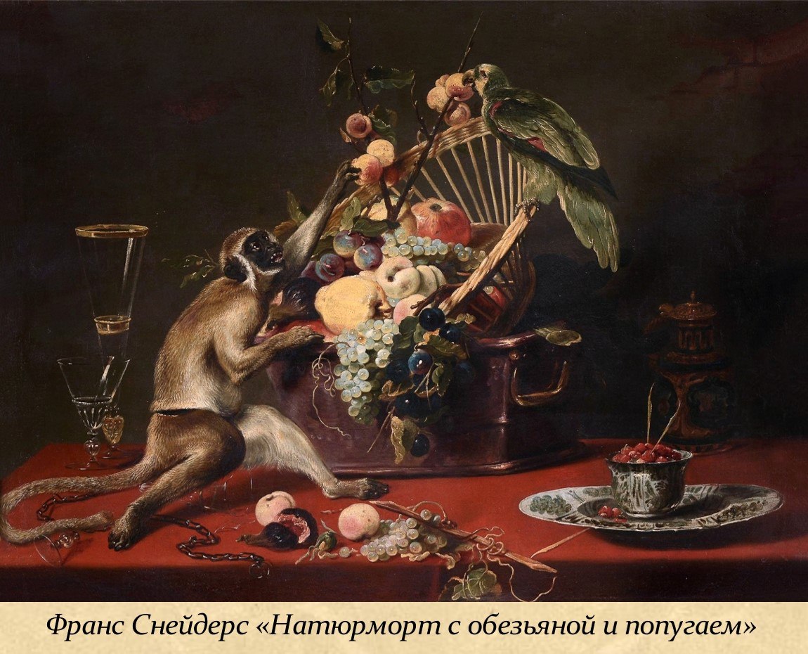 14 декабря – Международный день обезьян