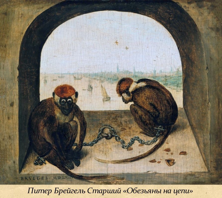 14 декабря – Международный день обезьян 14 декабря – Международный день обезьян