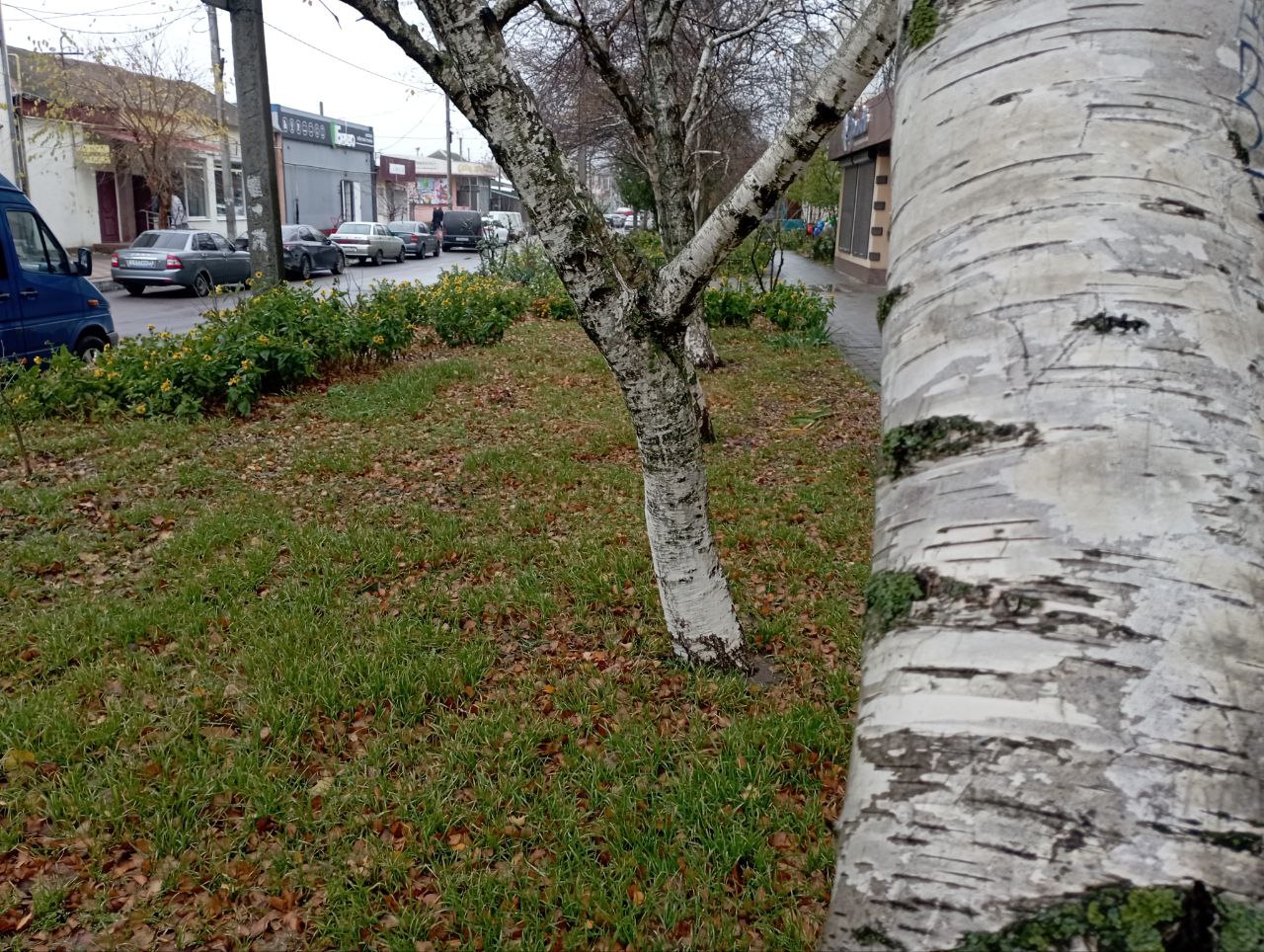 Доброе утро, жители Каховского муниципального округа!